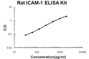 Rat ICAM-1 PicoKine ELISA Kit standard curve (ICAM1 ELISA 试剂盒)
