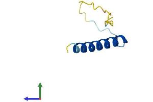 Protein Structure (PS) image for Purkinje Cell Protein 4 (PCP4) (AA 1-62) protein (Fc Tag) (ABIN7550663)