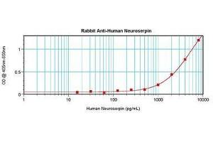Image no. 2 for anti-serpin Peptidase Inhibitor, Clade I (neuroserpin), Member 1 (SERPINI1) antibody (ABIN465664) (Neuroserpin 抗体)
