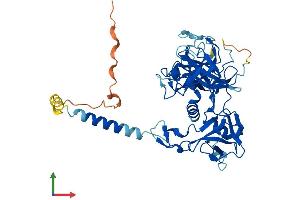AlphaFold protein structure predicition of Mouse Recombinant Tmprss3 Protein, UniprotID Q8K1T0