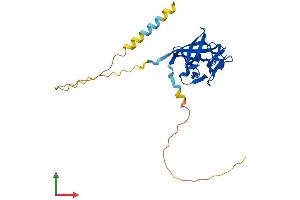 AlphaFold protein structure predicition of Mouse Recombinant Fgf13 Protein, UniprotID P70377