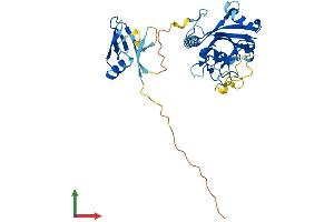 AlphaFold protein structure predicition of Mouse Recombinant Parp11 Protein, UniprotID Q8CFF0