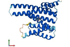 Protein Structure (PS) image for 14-3-3 epsilon (YWHAE) (AA 1-255) protein (His tag) (ABIN7556600)