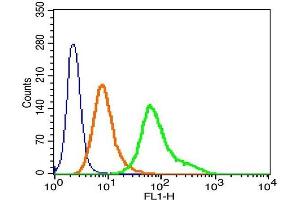 Human Hela cells probed with HOPX Polyclonal Antibody, A488 conjugated -A488) (green) at 1:100 for 30 minutes compared to unstained cells (blue) and isotype control (orange). (HOPX 抗体  (AA 25-73))