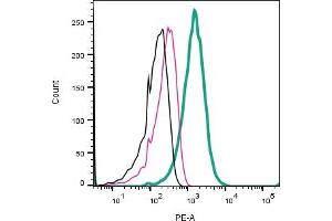 anti-G Protein-Coupled Receptor 171 (GPR171) (AA 155-169), (Extracellular) antibody (PE)