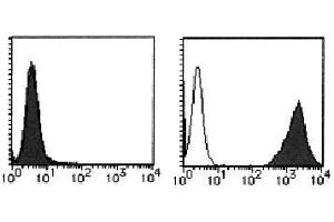 Flow Cytometry (FACS) image for anti-Interleukin 12 Receptor beta 1 (IL12RB1) antibody (PE) (ABIN1449167) (IL12RB1 抗体  (PE))