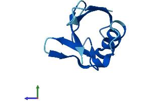 AlphaFold protein structure predicition of Human Recombinant UBL5 Protein, UniprotID Q9BZL1