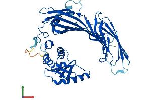 Protein Structure (PS) image for Adaptor-Related Protein Complex 1, mu 2 Subunit (AP1m2) (AA 1-423) protein (His tag) (ABIN7552164)