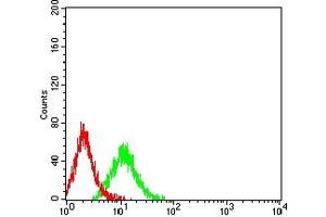 Flow cytometric analysis of Jurkat cells using CHRM3 mouse mAb (green) and negative control (red). (CHRM3 抗体)