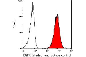 Flow Cytometry (FACS) image for anti-Epidermal Growth Factor Receptor (EGFR) (C-Term) antibody (ABIN7795642)
