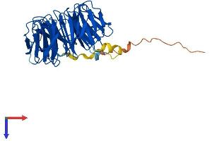 Protein Structure (PS) image for WD Repeat Domain 86 (WDR86) (AA 1-376) protein (His tag) (ABIN7545193)