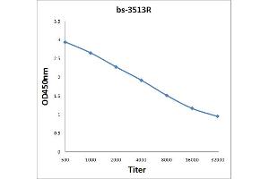 Antigen: 2 µg/100 µL  Primary: Antiserum, 1:500, 1:1000, 1:2000, 1:4000, 1:8000, 1:16000, 1:32000;  Secondary: HRP conjugated Rabbit Anti-Goat IgG at 1: 5000;  TMB staining Read the data in Microplate Reader by 450nm.