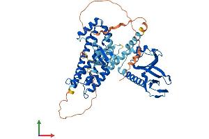 Protein Structure (PS) image for Cdc42 Guanine Nucleotide Exchange Factor (GEF) 9 (Arhgef9) (AA 1-516) protein (His tag) (ABIN7557282)