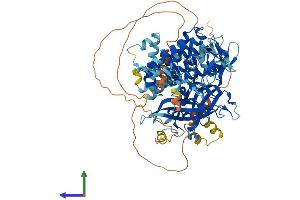 AlphaFold protein structure predicition of Human Recombinant NPHP1 Protein, UniprotID O15259