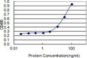 Detection limit for recombinant GST tagged C10orf63 is 1 ng/ml as a capture antibody. (ENKUR 抗体  (AA 1-256))
