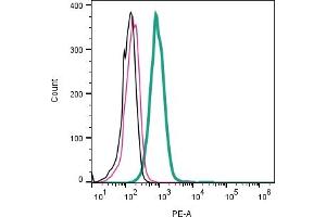 Cell surface detection of SLC3A2 (CD98) by indirect flow cytometry in live intact human  monocytic leukemia cell line: + goat-anti-rabbit-PE.