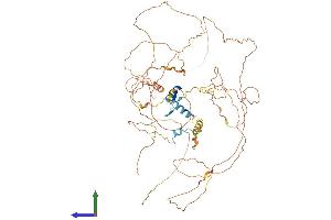 Protein Structure (PS) image for Zinc Finger Protein 503 (ZNF503) (AA 1-646) protein (His tag) (ABIN7545328)