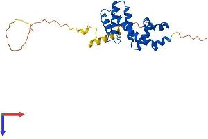RGS19 Protein (AA 1-217) (His tag)