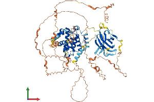 Protein Structure (PS) image for Synapse Defective 1, rho GTPase, Homolog 1 (SYDE1) (AA 1-735) protein (His tag) (ABIN7544046)
