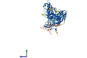 Protein Structure (PS) image for Calpain 10 (CAPN10) (AA 1-666) protein (His tag) (ABIN7561471)