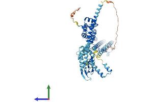 Protein Structure (PS) image for Cyclic Nucleotide Gated Channel alpha 4 (CNGA4) (AA 1-575) protein (His tag) (ABIN7563760)