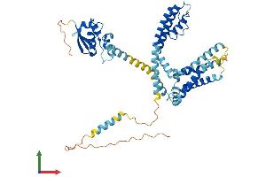 AlphaFold protein structure predicition of Mouse Recombinant Kcns3 Protein, UniprotID Q8BQZ8