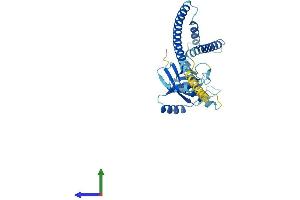 Protein Structure (PS) image for Proteasome (Prosome, Macropain) 26S Subunit, Non-ATPase, 7 (PSMD7) (AA 1-321) protein (His tag) (ABIN7563019)
