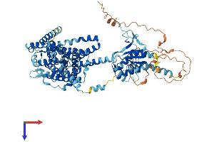 Slc26a9 Protein (AA 1-791) (His tag)