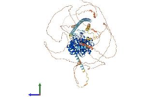 Protein Structure (PS) image for Histone Deacetylase 5 (HDAC5) (AA 1-1122) protein (His tag) (ABIN7554095)