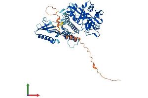 AlphaFold protein structure predicition of Human Recombinant PARP3 Protein, UniprotID Q9Y6F1