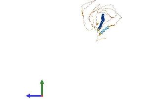 Protein Structure (PS) image for POC5 Centriolar Protein Homolog (POC5) (AA 1-558) protein (His tag) (ABIN7561299)