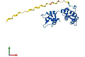 Protein Structure (PS) image for Myosin Light Chain 4, Alkali, Atrial, Embryonic (MYL4) (AA 1-193) protein (His tag) (ABIN7562778)