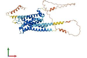 AlphaFold protein structure predicition of Human Recombinant HTR2B Protein, UniprotID P41595