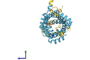 Protein Structure (PS) image for Solute Carrier Family 25 (Mitochondrial Carrier), Member 18 (SLC25A18) (AA 1-315) protein (His tag) (ABIN7547897)
