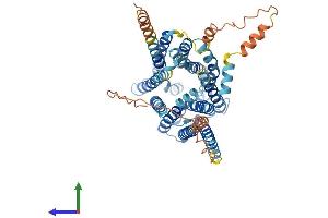 Protein Structure (PS) image for Solute Carrier Family 19 (Folate Transporter), Member 1 (SLC19A1) (AA 1-512) protein (His tag) (ABIN7563235)