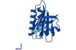 Protein Structure (PS) image for Profilin 4 (PFN4) (AA 1-129) protein (His tag) (ABIN7551037)
