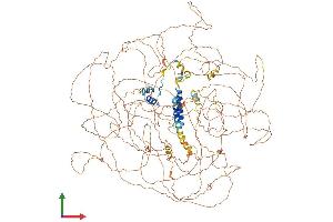 Protein Structure (PS) image for B-Cell CLL/lymphoma 9 (BCL9) (AA 1-1425) protein (His tag) (ABIN7564972)