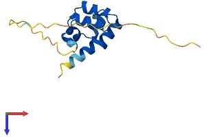 Sterile alpha Motif Domain Containing 13 (SAMD13) (AA 1-122) protein (His tag)
