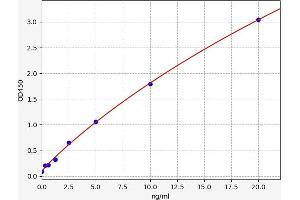 Typical standard curve (RAPGEF3 ELISA 试剂盒)