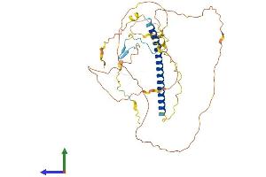 Protein Structure (PS) image for TSC22 Domain Family, Member 4 (TSC22D4) (AA 1-395) protein (His tag) (ABIN7544085)