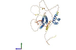 Protein Structure (PS) image for PBX/knotted 1 Homeobox 1 (PKNOX1) (AA 1-436) protein (His tag) (ABIN7550802)