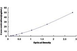 Typical standard curve (DPYS ELISA 试剂盒)