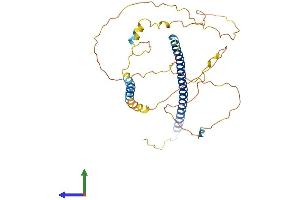 Protein Structure (PS) image for Jun D Proto-Oncogene (JUND) (AA 1-347) protein (His tag) (ABIN7548695)
