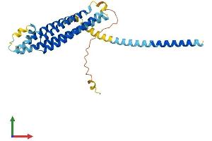Protein Structure (PS) image for Syntaxin 4 (STX4) (AA 1-298) protein (His tag) (ABIN7556726)