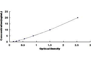 Typical Standard Curve for Mouse DKK1 ELISA.