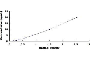 Typical Standard Curve for Mouse DKK1 ELISA. (DKK1 ELISA 试剂盒)