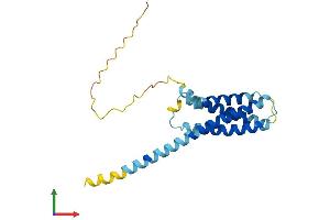 Protein Structure (PS) image for CKLF-Like MARVEL Transmembrane Domain Containing 4 (CMTM4) (AA 1-208) protein (His tag) (ABIN7559387)