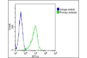 Overlay histogram showing Hela cells stained with (ABIN391965 and ABIN2841761)(green line).