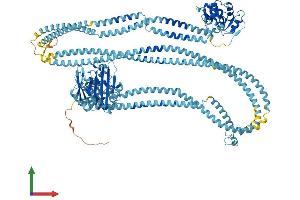 Protein Structure (PS) image for Structural Maintenance of Chromosomes 2 (SMC2) (AA 1-1191) protein (His tag) (ABIN7564566)