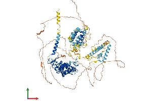 Protein Structure (PS) image for KIAA0226 (KIAA0226) (AA 1-972) protein (His tag) (ABIN7555363)